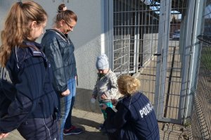 Policjantki prezentują wybieg dla psów służbowych, znajdujący się na terenie komendy oraz policjantka wręcza chłopcu elementy odblaskowe.