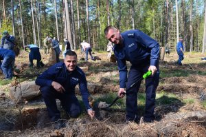 Policjanci i zaproszeni goście sadzą drzewa.