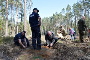 Policjanci i zaproszeni goście sadzą drzewa.