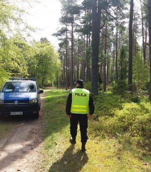 Policjanci prowadzą poszukiwania zaginionego w Kopalinie - sprawdzają teren leśny.