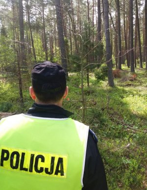 Policjanci prowadzą poszukiwania zaginionego w Kopalinie- przeszukują teren leśny.