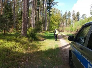 Policjanci prowadzą poszukiwania zaginionego w Kopalinie - sprawdzają teren leśny.