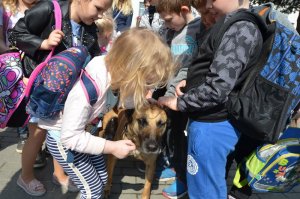 Spotkanie policjantów z dziećmi ze szkoły w Wyszecinie.