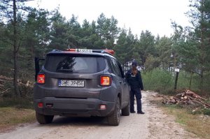 Policjanci ze Strażą Leśną sprawdzają stoiska z choinkami pod kątem sprzedaży nielegalnie pozyskanych drzewek.