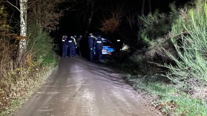 droga leśna w głębi lasu, w oddali widać grupę idących umundurowanych policjantów