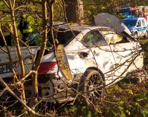 W zaroślach widoczny samochód po wypadku, za nim w tle po prawej stoi policyjny radiowóz, po lewej stoi policjant, który rozmawia ze strażakiem.