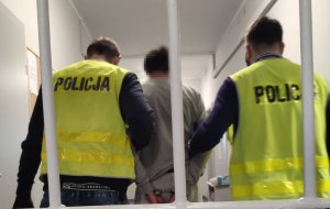 Policjanci prowadzą zatrzymanego. Mundurowi ubrani są w kamizelki odblaskowe z napisem POLICJA na plecach, zatrzymany idzie między nimi.