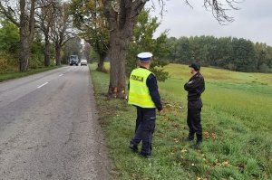 Policjant, strażak i zarząd drogowy stoją na poboczu drogi w pewnym oddaleniu przy drzewie, gdzie doszło do wypadku. Widać że rozmawiają.