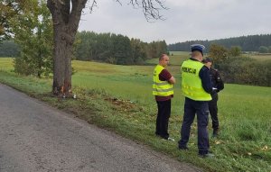 Policjant, strażak i zarząd drogowy stoją na poboczu drogi w pewnym oddaleniu przy drzewie, gdzie doszło do wypadku. Widać że rozmawiają.