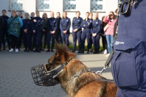 Na pierwszym planie widać fragment spodni służbowych policyjnych z napisem Policja na kieszeni bocznej oraz głowę i fragment ciała psa służbowego, w tle na zdjęciu widoczni są uczniowie biorący udział w spotkaniu.