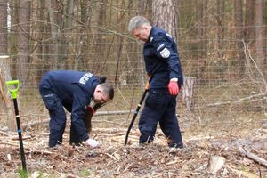 Komendant Powiatowy i Zastępca sadzą drzewa.