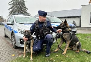 Policjant przykucnął z dwoma psami po bokach, po lewej stronie siedzi przy nim Luna, po prawej siedzi Boss.