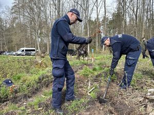 Policjanci sadzą las.