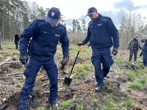 Policjanci sadzą las.