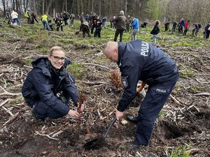 Policjanci sadzą las.