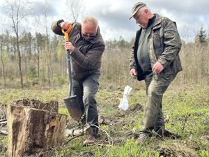 Leśniczy pokazuje w jaki sposób sadzić las.