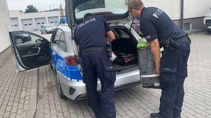 Wypakowywanie karmy z bagażnika przez policjantów