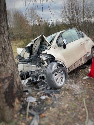 Na pierwszym planie jest drzewo, a tuż przy nim samochód który w nie uderzył