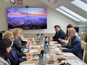 W trakcie spotkania komisji zdrowia psychicznego jej członkowie siedzą przy stole konferencyjnym i rozmawiają