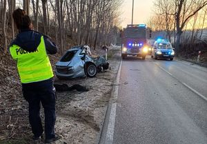 Policjanci pracują na miejscu wypadku