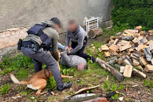 Policjanci zakładają kajdanki mężczyźnie, który leży na brzuchu.