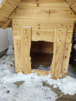 Psia buda zbita z desek pusta