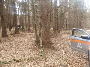 Policjant ze strażnikiem leśnym sprawdza rejon lasu