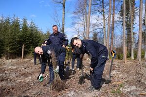 Sadzenie lasu przez policjantów i inne służby mundurowe oraz inne zaproszone osoby