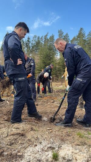 Sadzenie lasu przez policjantów i inne służby mundurowe oraz inne zaproszone osoby