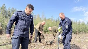 Sadzenie lasu przez policjantów i inne służby mundurowe oraz inne zaproszone osoby