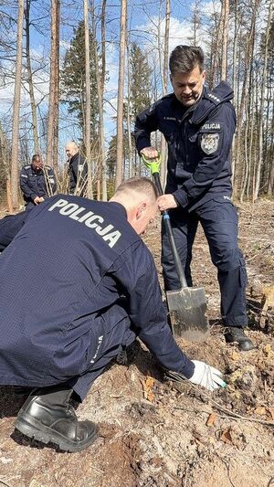 Sadzenie lasu przez policjantów i inne służby mundurowe oraz inne zaproszone osoby