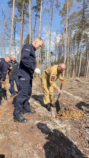 Sadzenie lasu przez policjantów i inne służby mundurowe oraz inne zaproszone osoby