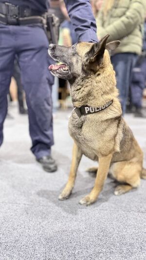 Policjanci na targach pracy rozmawiają z osobami zainteresowanymi służbą w Policji.