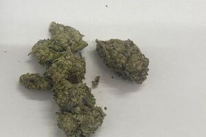 zielone kulki z suszem - marihuana